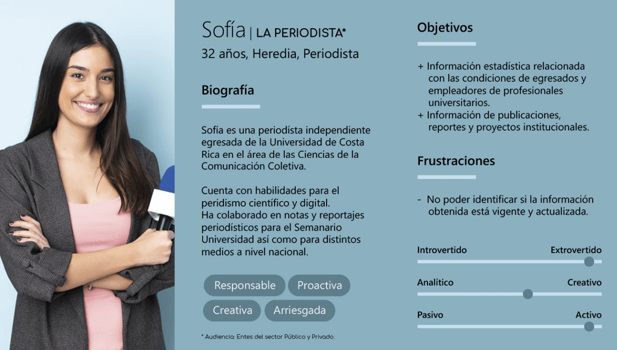 Perfiles de Usuario